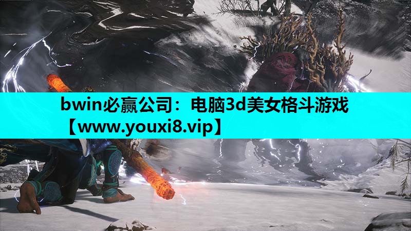 bwin必赢公司：电脑3d美女格斗游戏