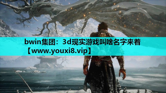 bwin集团：3d现实游戏叫啥名字来着