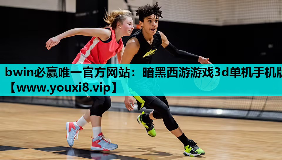 bwin必赢唯一官方网站：暗黑西游游戏3d单机手机版