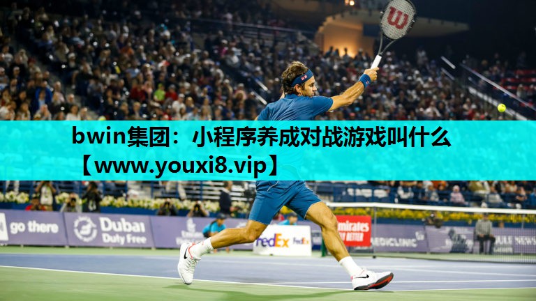 bwin集团：小程序养成对战游戏叫什么