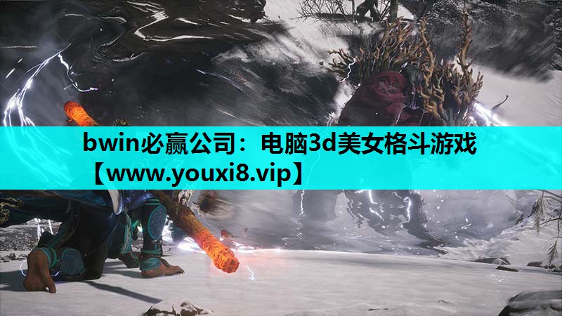 电脑3d美女格斗游戏