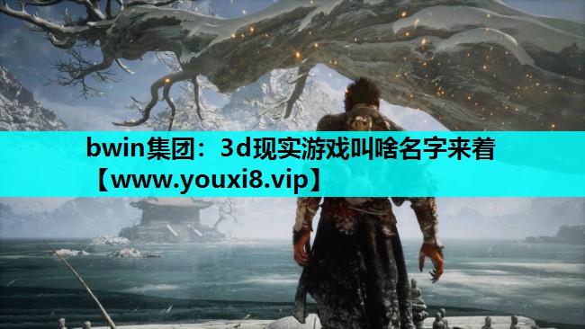 3d现实游戏叫啥名字来着
