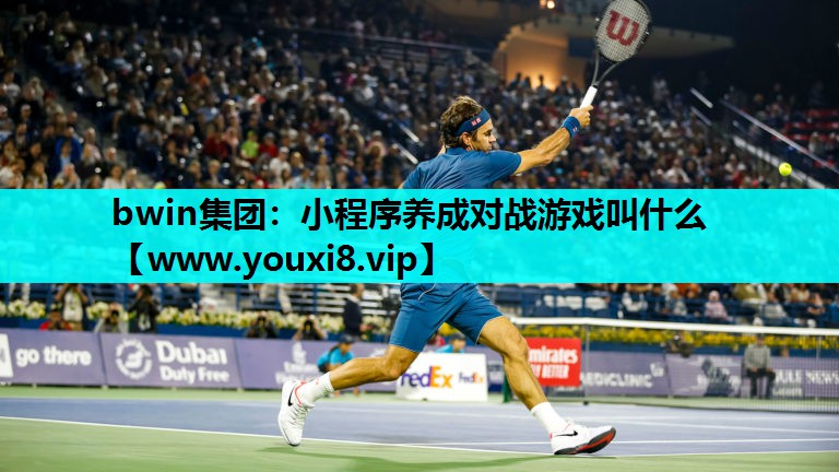 小程序养成对战游戏叫什么