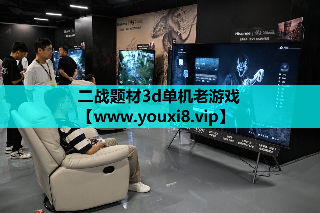 二战题材3d单机老游戏