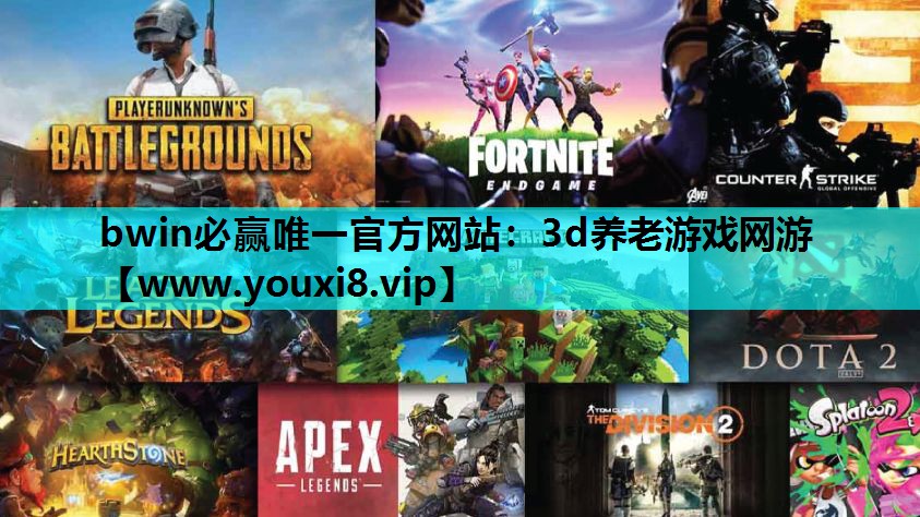 3d养老游戏网游