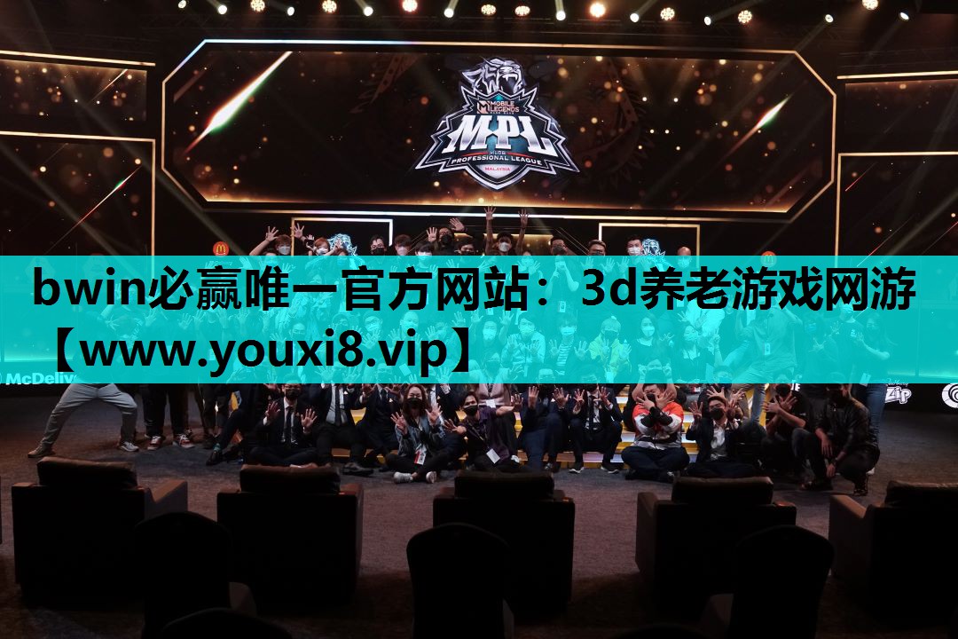 3d养老游戏网游